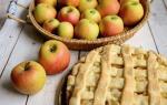 Baking with Suzanne - Adults only